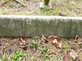 image of grave number 227612